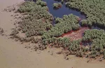 BP Settlement Will Speed Up Projects