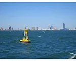 Offshore Wind Grows On European Grid