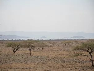 Wind Developers Active Across African Continent