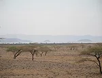 Wind Developers Active Across African Continent