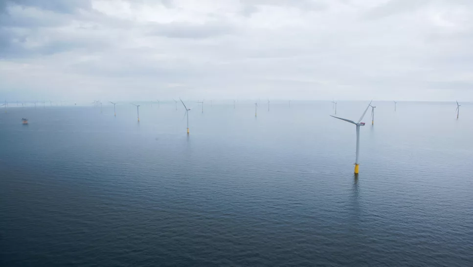 The Largest-Capacity Offshore Wind Farms