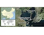“Branching” Bridge Completed in Shandong Province