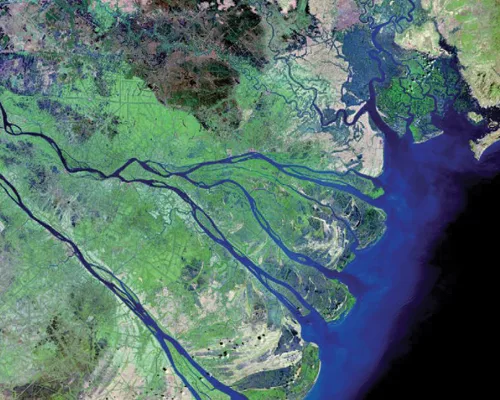 Dutch Firm Preparing 100-Year Flood Management Plan for Vietnam's Mekong Delta