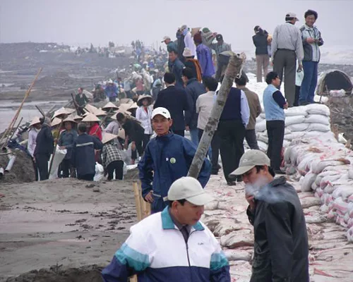 Dutch Firm Preparing 100-Year Flood Management Plan for Vietnam's Mekong Delta