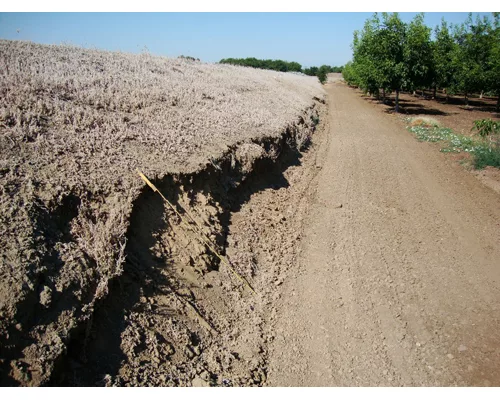 180 Miles of California Levees Declared Ineligible for Federal Rebuild Funds