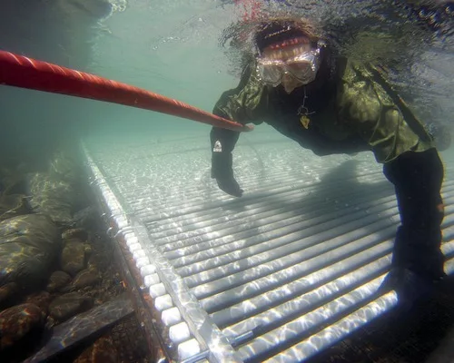 Elwha River Restoration Project Involves Largest Dam Removal Effort in U.S. History