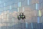 ENR's Photo Contest Runners-Up