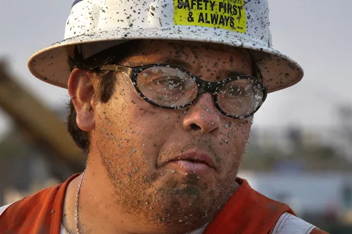 ENR's Photo Contest Runners-Up