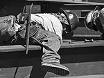 ENR's Photo Contest Runners-Up