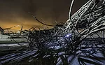 Close Call: ENR 2013 Photo Contest Runners-Up