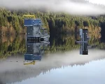 Best Energy/Industrial