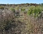 Reaching Zero: The Realities of Ecologically-Friendly Engineering on a Continental Scale