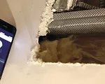 iPhone App Actually Locates Wall Studs