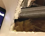 iPhone App Actually Locates Wall Studs