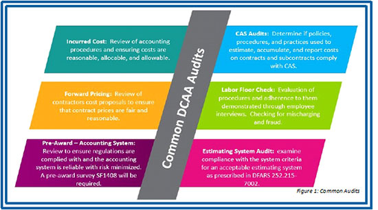 Dcaa Organization Chart