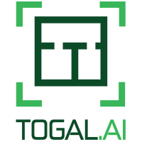 Togal.Ai