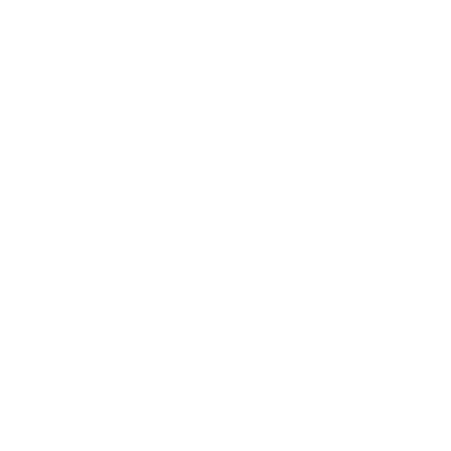 attendee types and tiers