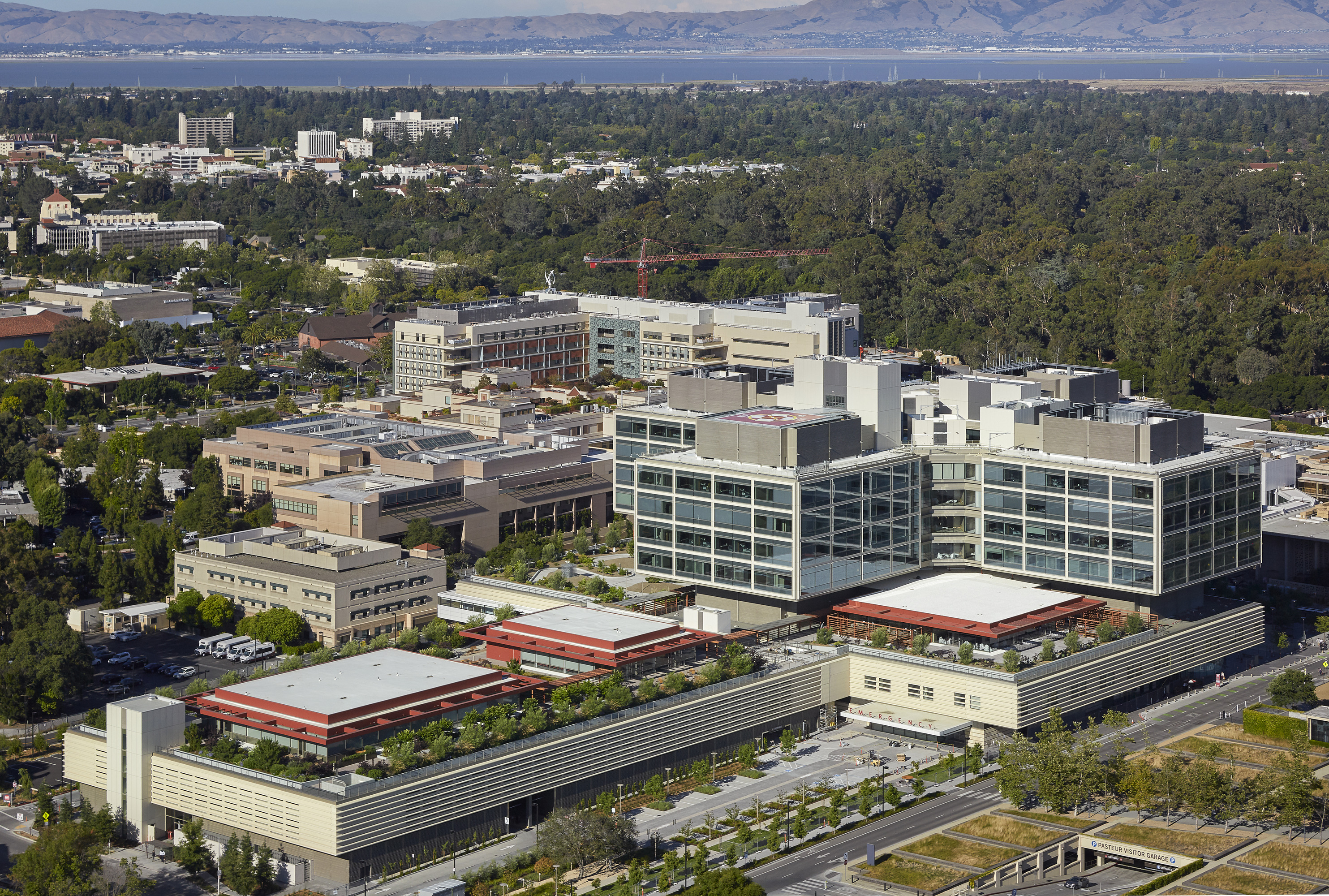 Stanford Health