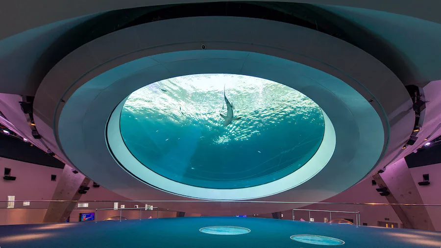 SE_BP_FrostScience