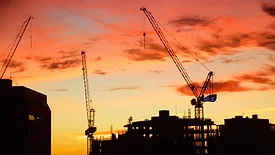 Cranes at Sunrise