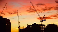 Cranes at Sunrise Cranes at Sunrise