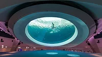 SkanskaFrost_Lawsuit_GulfStreamAquarium.jpg Frost_Skanska_Lawsuit