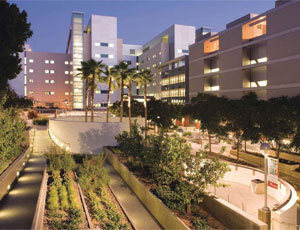 The LAC + USC Medical Facility