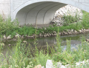 The Grove on Kickapoo Creek Stream Restoration