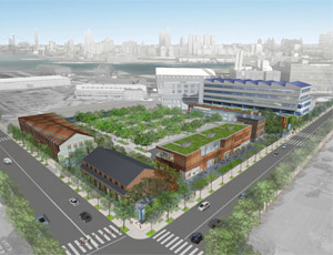 Flushing Commons and Macedonia Plaza Approved by Queens Borough President