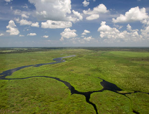 The U.S. Dept. of Agriculture has acquired permanent easements for 26,000 acres in the Northern Everglades Watershed.