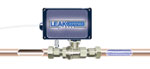 Detecting Leaks
