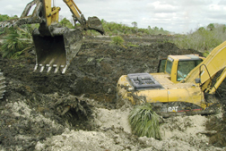 Equipment sank in the soft soil of Picayune Strand, but Prairie Canal was plugged in 2004 and backfilled in 2006. Natural hydrology is returning to the area.