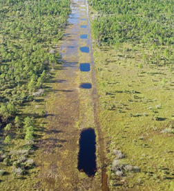 Equipment sank in the soft soil of Picayune Strand, but Prairie Canal was plugged in 2004 and backfilled in 2006. Natural hydrology is returning to the area.