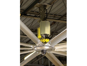 Air Circulation: Big Fan