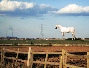 White-horse replica, 50 m tall, may grace ground in U.K.
