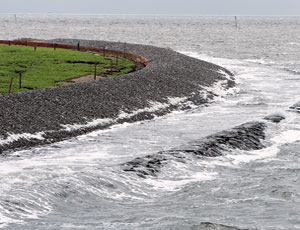 Connecting the Rocks