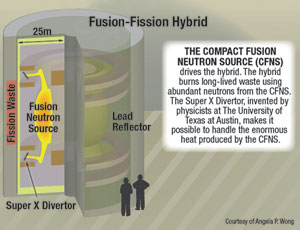 Fusion-Fission Hybrid
