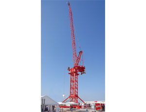 Big Tower Crane: High Capacity