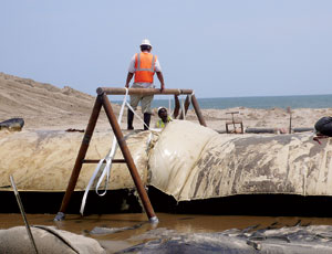 Gulf-side anchor tube and apron will drop like a protective curtain if land is cut away.