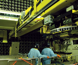 Atomic Energy of Canada Ltd. replaced 480 calandria tubes in each unit.