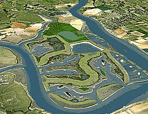 Low-lying Wallasea Island will be raised with tunnel spoil and converted into habitat for birds.