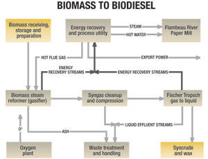 Patented process turns forestry waste into diesel fuel and other renewable products.