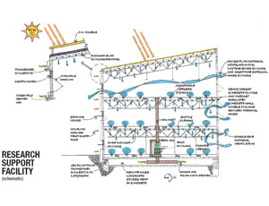 Siting, Massing and the Building Envelope Are Critical for Energy-Efficient Design