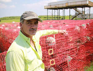 Nicky Alfonson in front of hundreds of his crab traps he recovered from Louisiana waters after the oil spill.