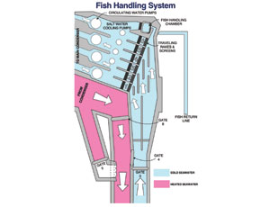 Intake protection system at San Onofre is part of a previous $150-million mitigation.