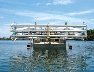 Tidal power should be more viable in Maine than Arizona, where solar power has a bright future. 